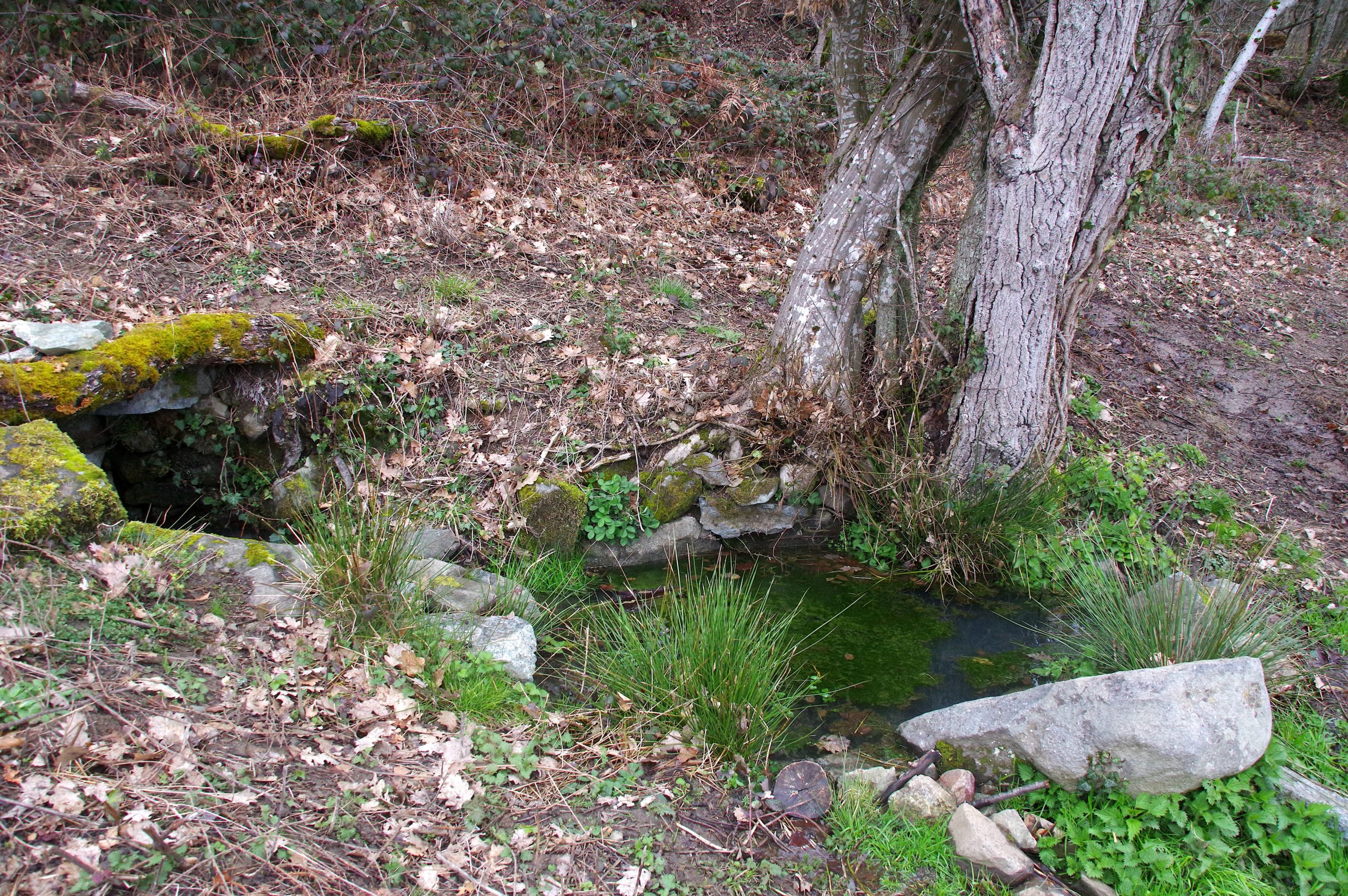 Source de Pierre Bully